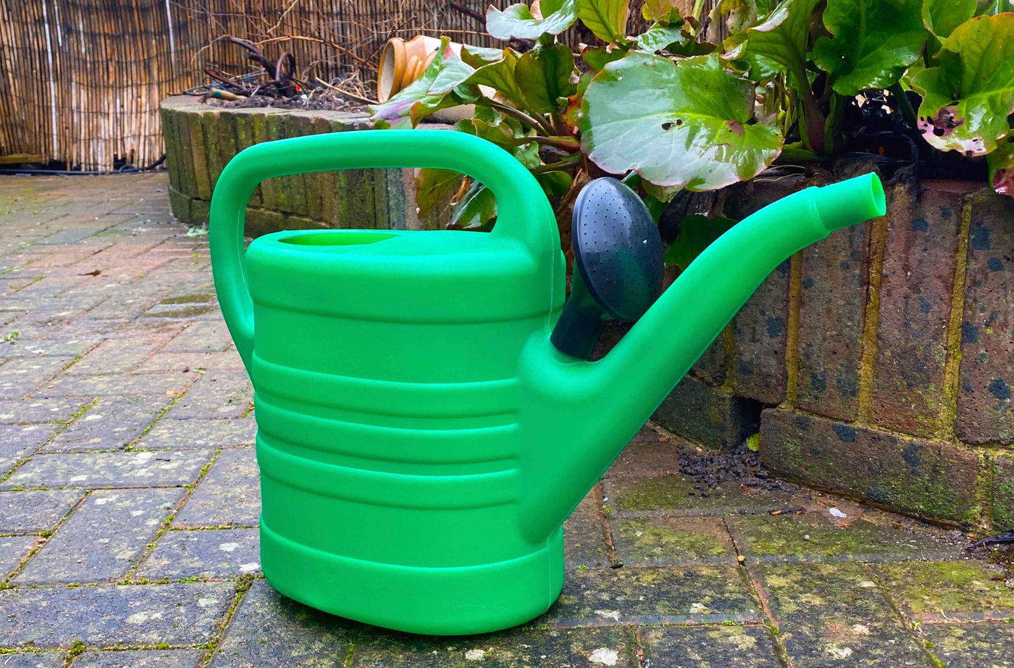 Garden Watering Can 10 Litres
