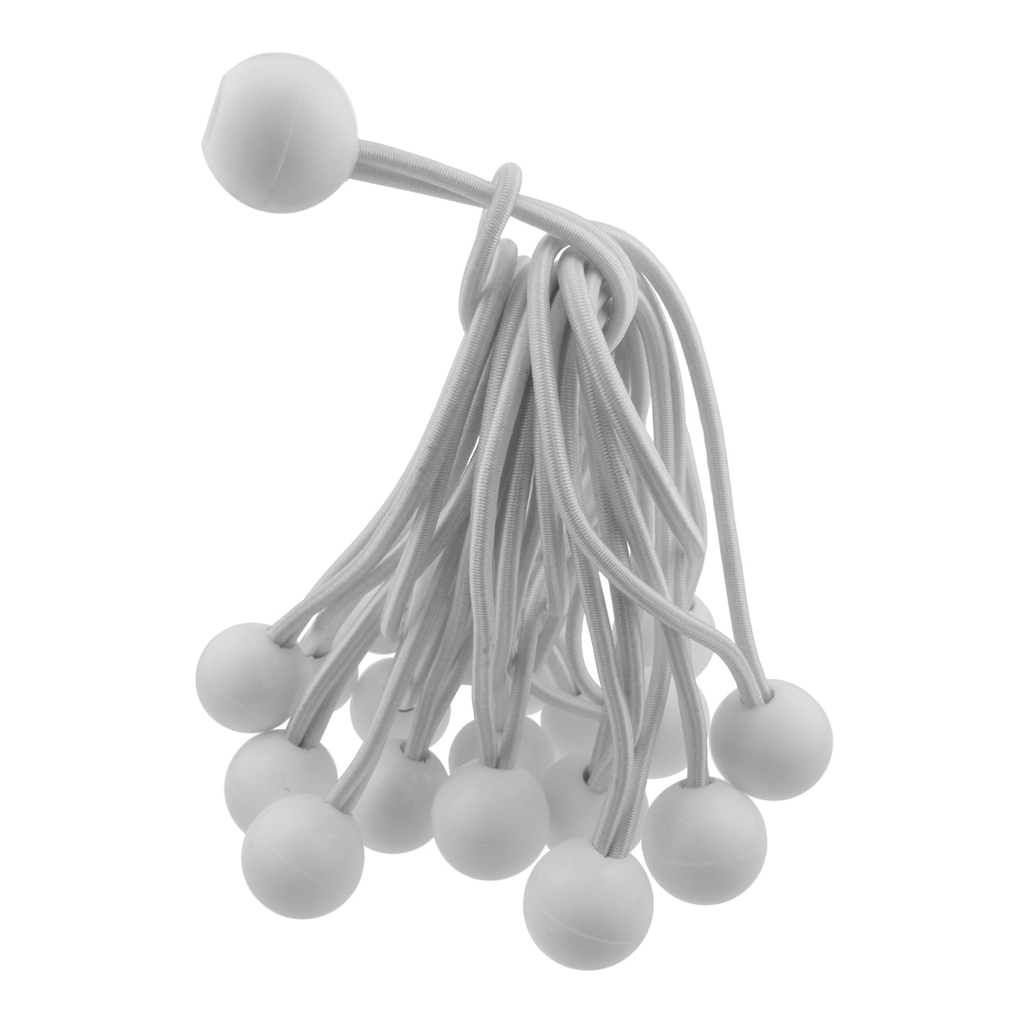 Bungee Ball 6" White
