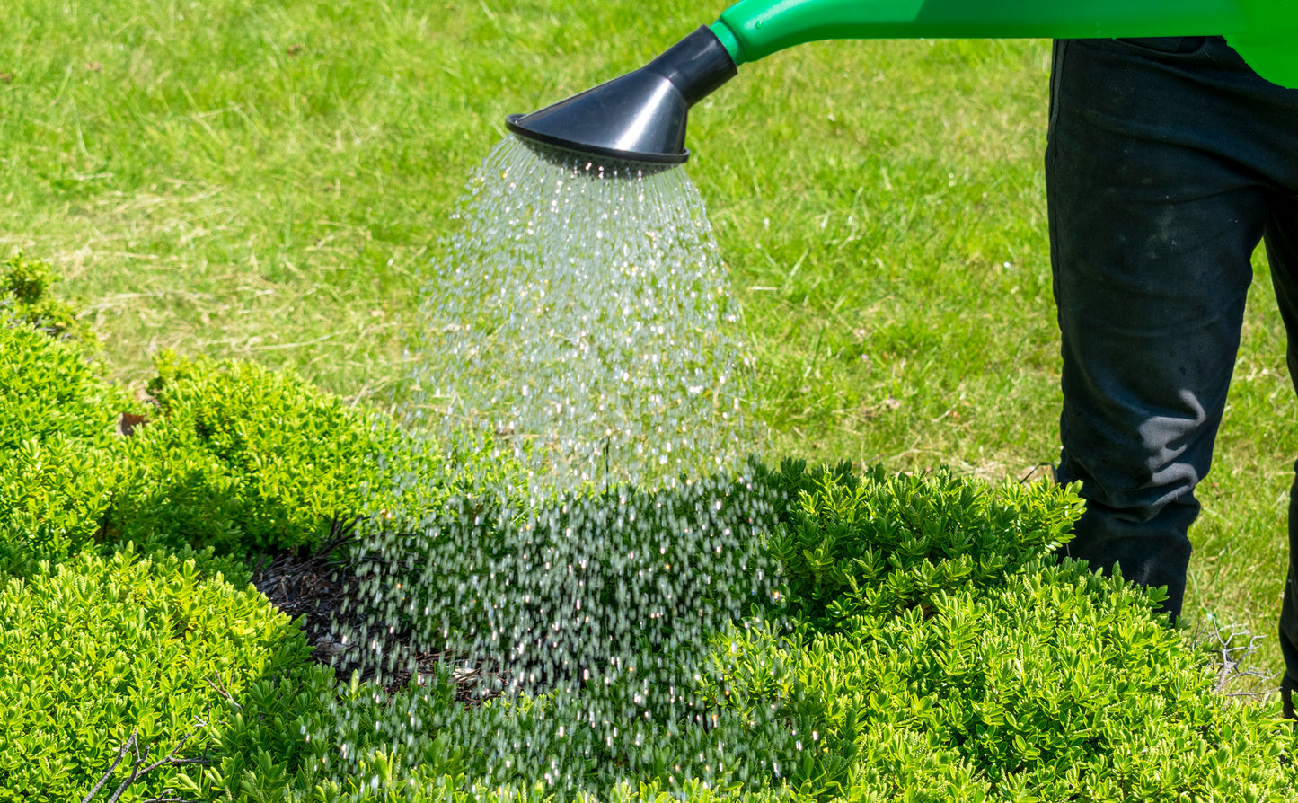 Garden Watering Can 10 Litres