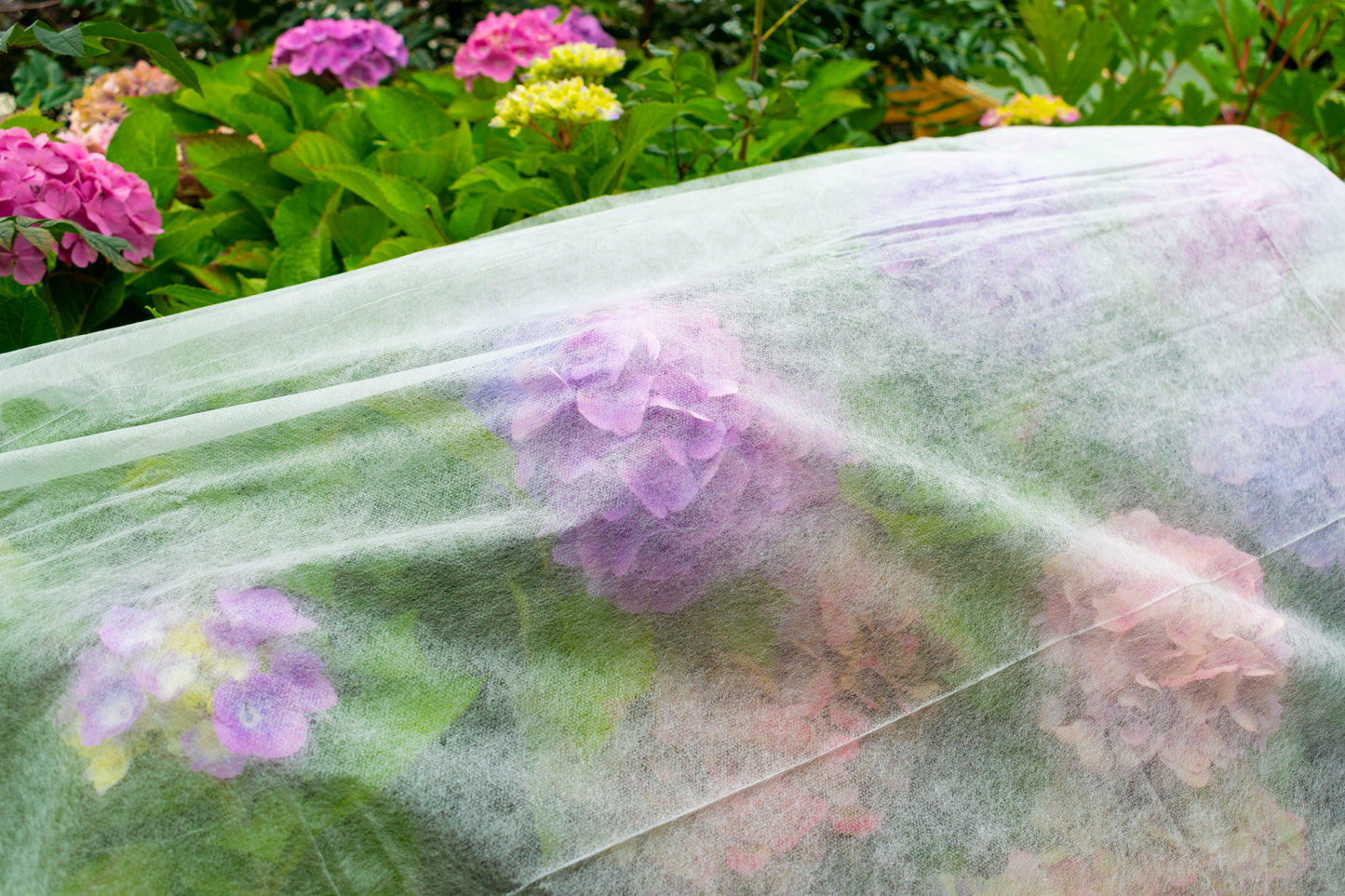 17g Non-Woven Frost Protect Fleece 1.6m x 10m