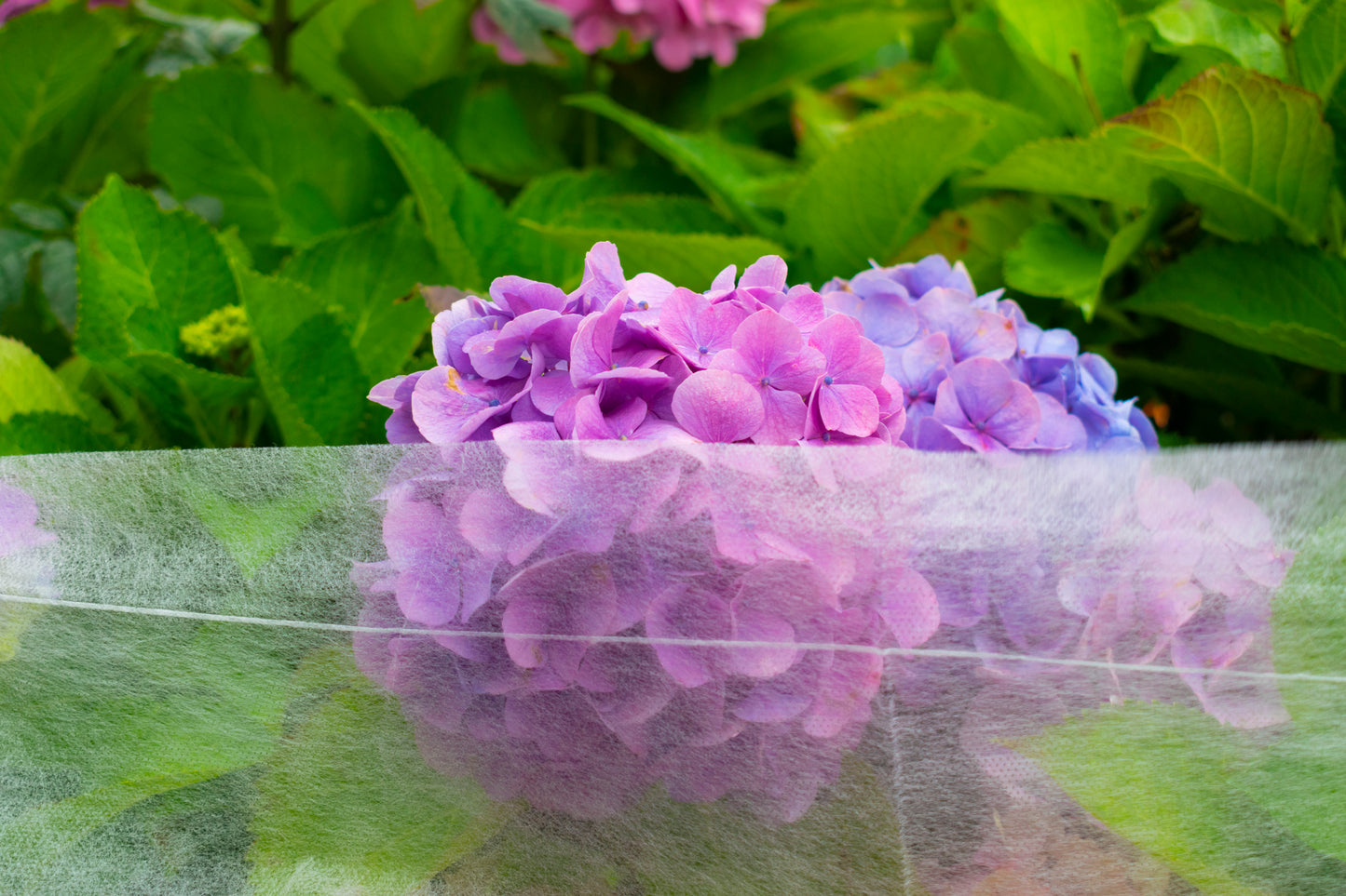 17g Non-Woven Frost Protect Fleece 1.6m x 10m