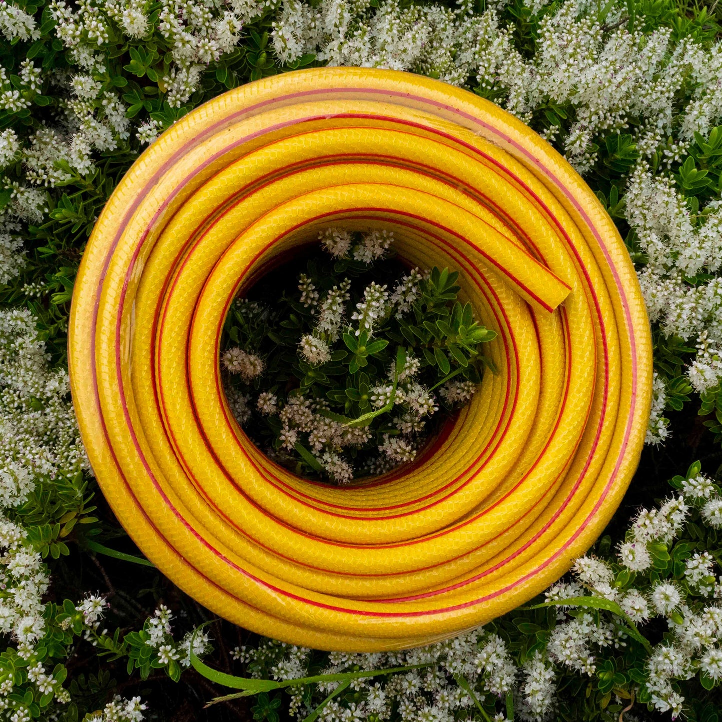 Premium Garden Hose 6-Layer 1/2" Pipe Yellow