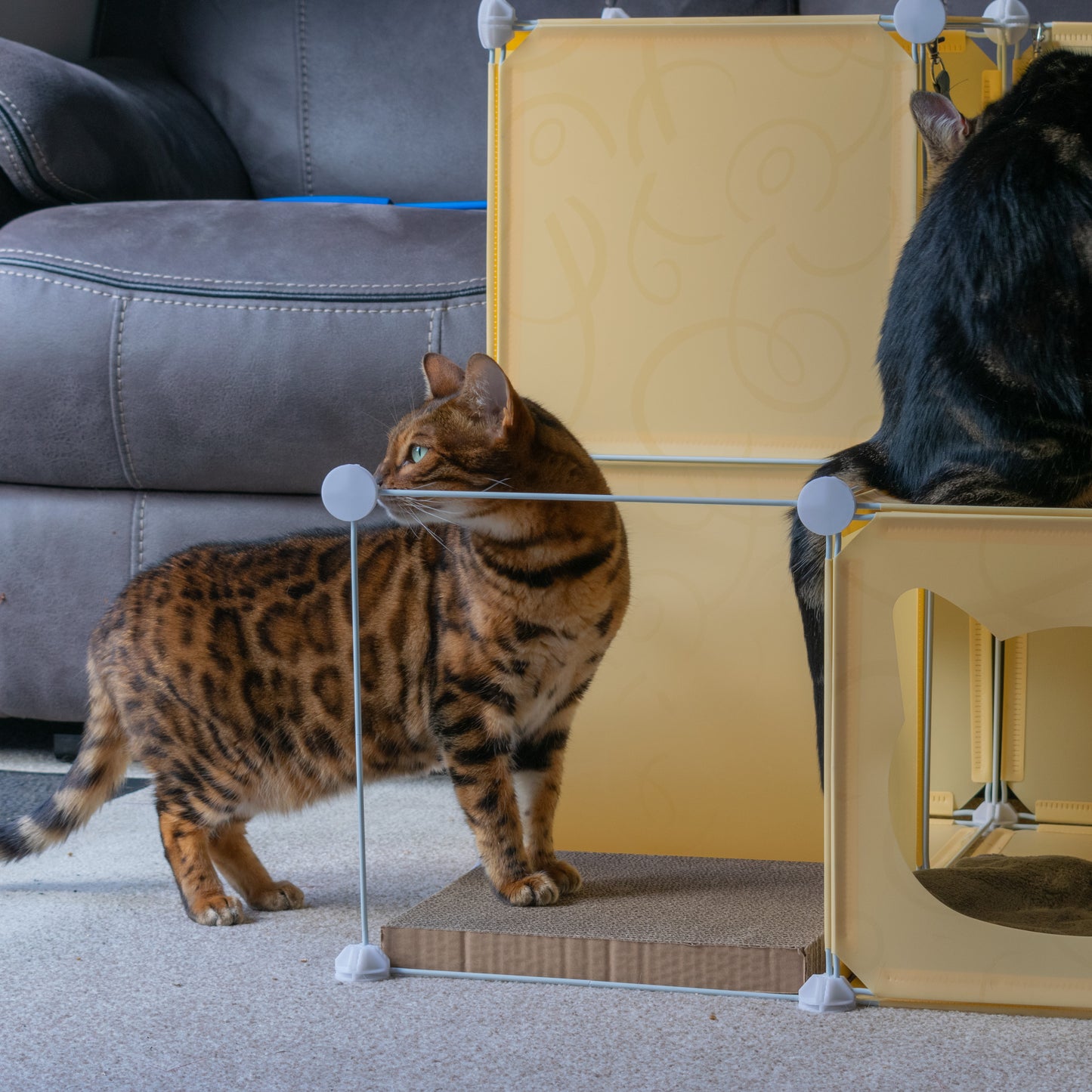 Kitty Cubby Cat Cube Play Tower MIDI