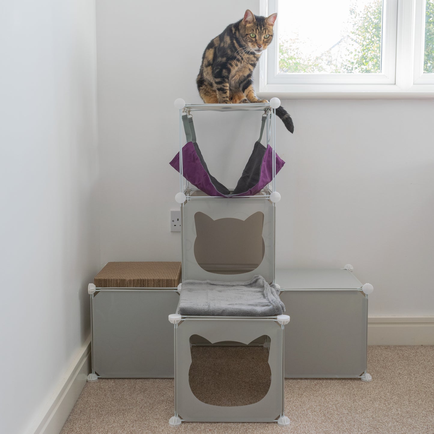 Kitty Cubby Cat Cube Play Tower MIDI