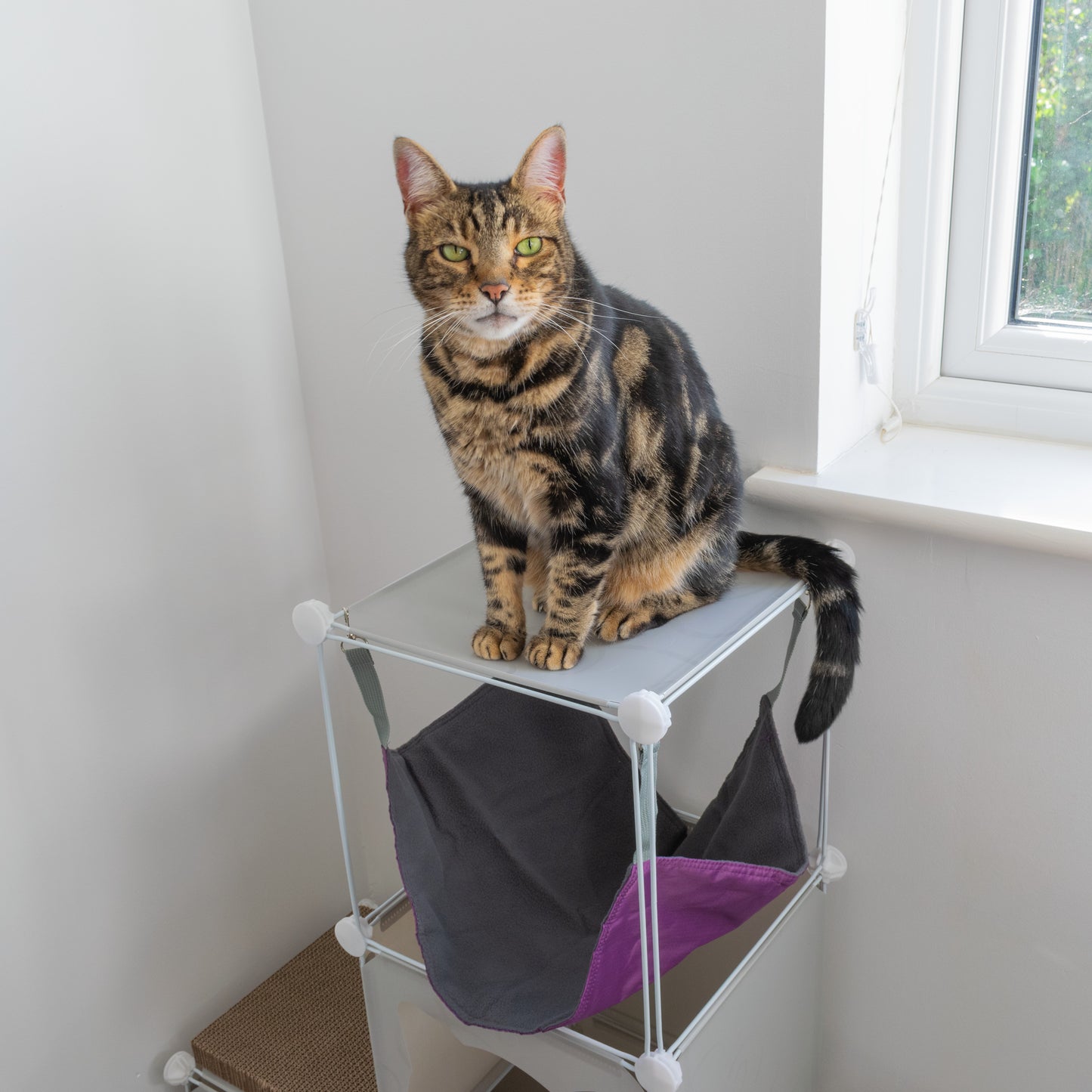 Kitty Cubby Cat Cube Play Tower MIDI