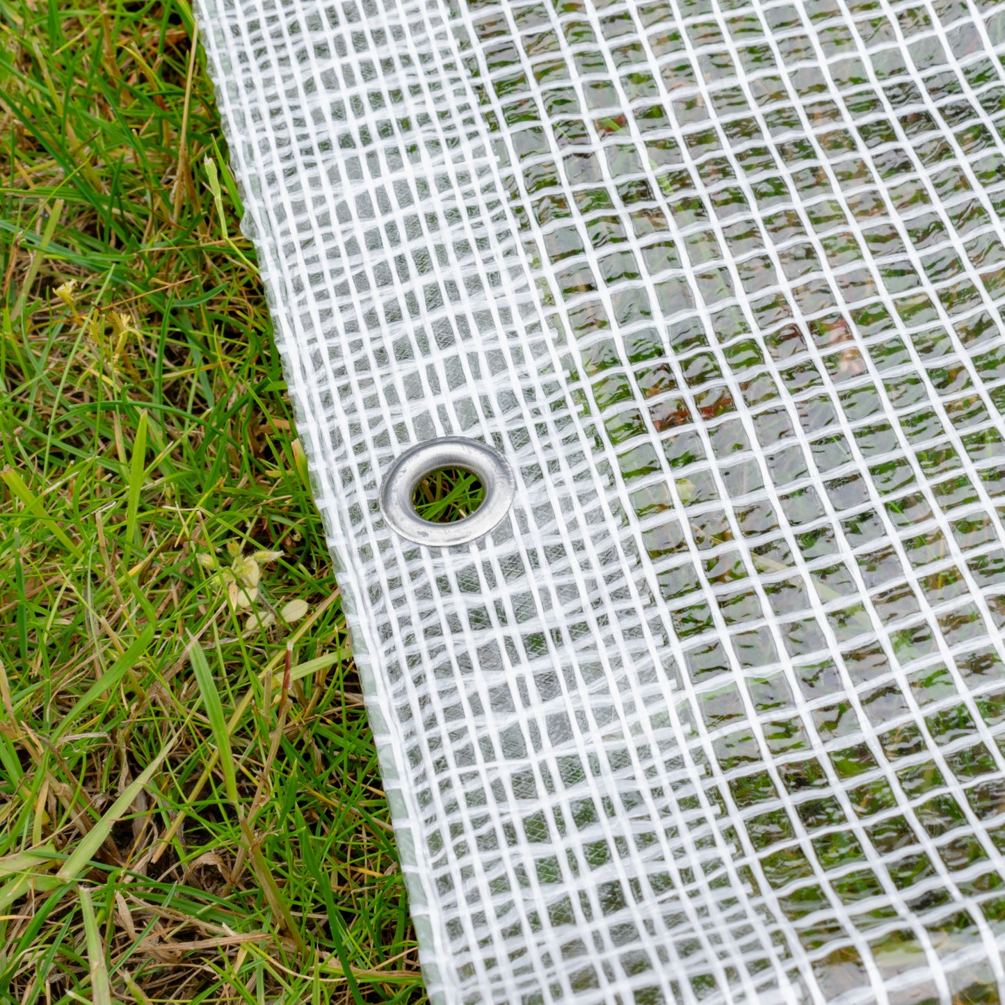 Clear M-Grade Tarpaulin with 10 x 6" Bungee Balls (Black) and 10 x Screw Type Tarp Clips