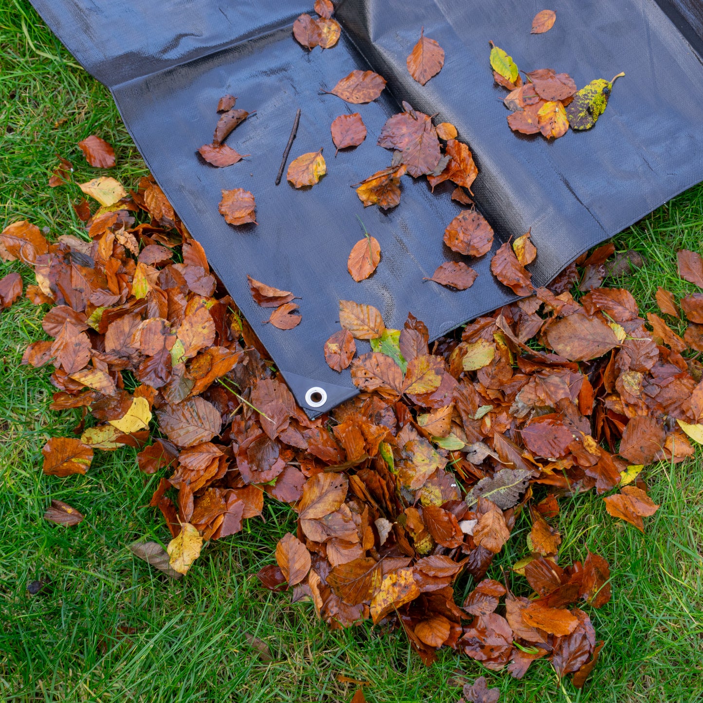 Black/Silver L-Grade Tarpaulin 5m x 5m