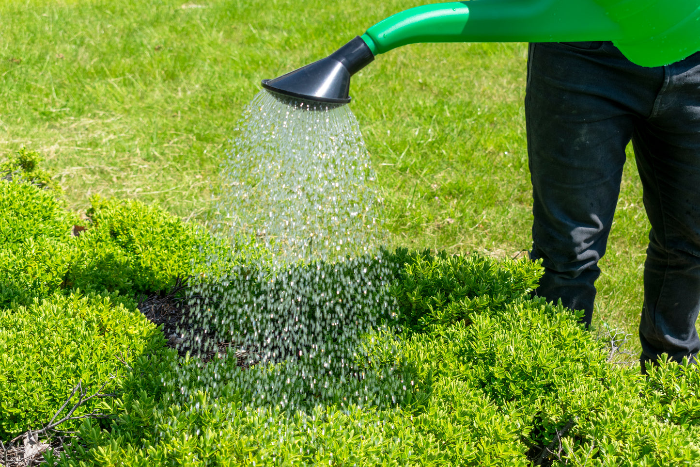 Garden Watering Can 10 Litres