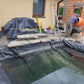 Pond Liner EPDM  6m x 6m