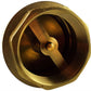 1” BSP Brass Nickel-Plated Lever Valve with Brass Spring Check Valve