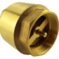 2” BSP Brass Nickel-Plated Lever Valve with Brass Spring Check Valve