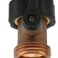 Brass In Line Valve ¾” BSPF-M