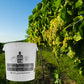 Home Brew Bucket 30L with Tap