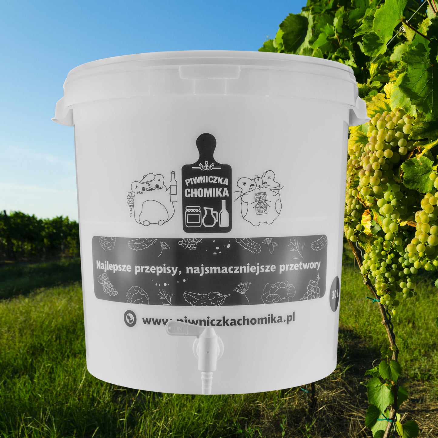Home Brew Bucket 30L with Tap