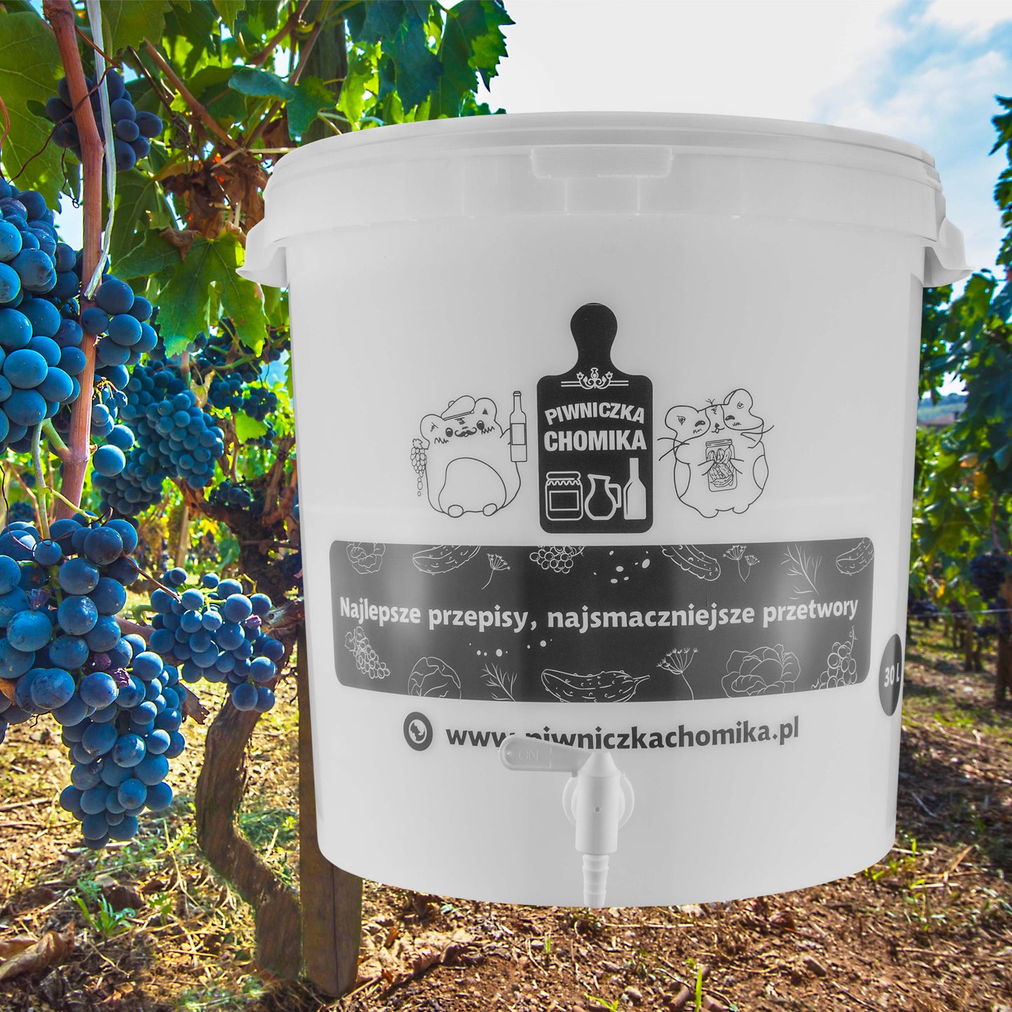 Home Brew Bucket 30L with Tap