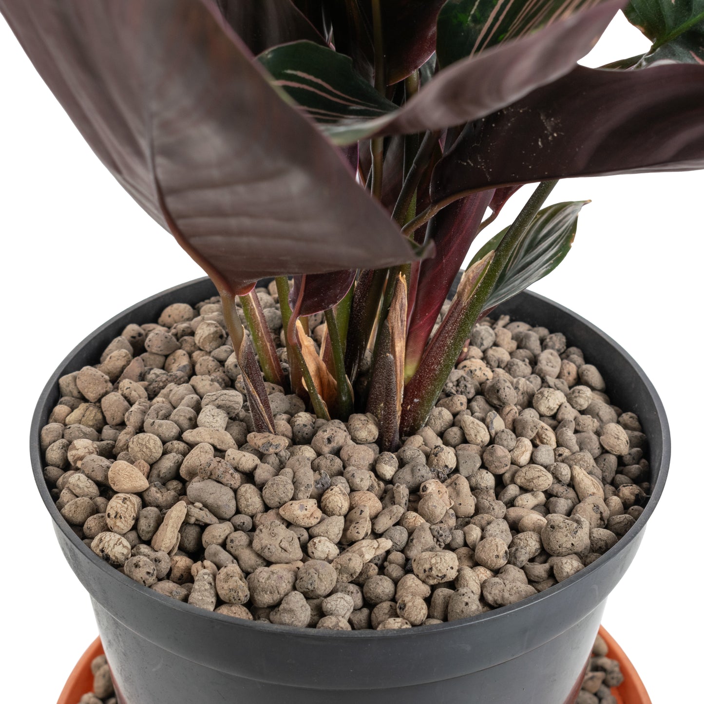 Expanded Clay Aggregate, KERAMZYT, Grade 4-8mm