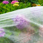 17g Non-Woven Frost Protect Fleece 1.6m x 10m