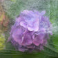 17g Non-Woven Frost Protect Fleece 3.2m x 5m