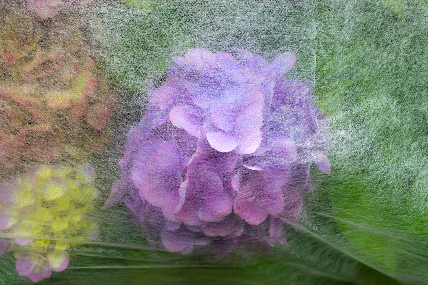 17g Non-Woven Frost Protect Fleece 3.2m x 5m