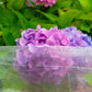 17g Non-Woven Frost Protect Fleece 3.2m x 5m