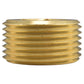 Thread Conversion Cap 1" BSPM - 3/4" BSPF, Brass