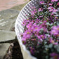 Lawn Edging, Plastic Palisade Rattan Effect, 2.4m, Black