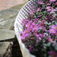 Lawn Edging, Plastic Palisade Rattan Effect, 2.4m, Gray
