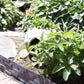 Lawn Edging, Plastic Palisade Slate Effect, 2.38m, Brown