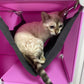 Kitty Cubby Cat Cube Play Tower MAXI