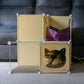 Kitty Cubby Cat Cube Play Tower MIDI
