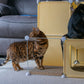 Kitty Cubby Cat Cube Play Tower MIDI