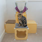 Kitty Cubby Cat Cube Play Tower MIDI