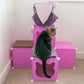 Kitty Cubby Cat Cube Play Tower MIDI
