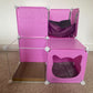 Kitty Cubby Cat Cube Play Tower MIDI