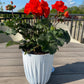 Mira Pot Without Hole 145mm White