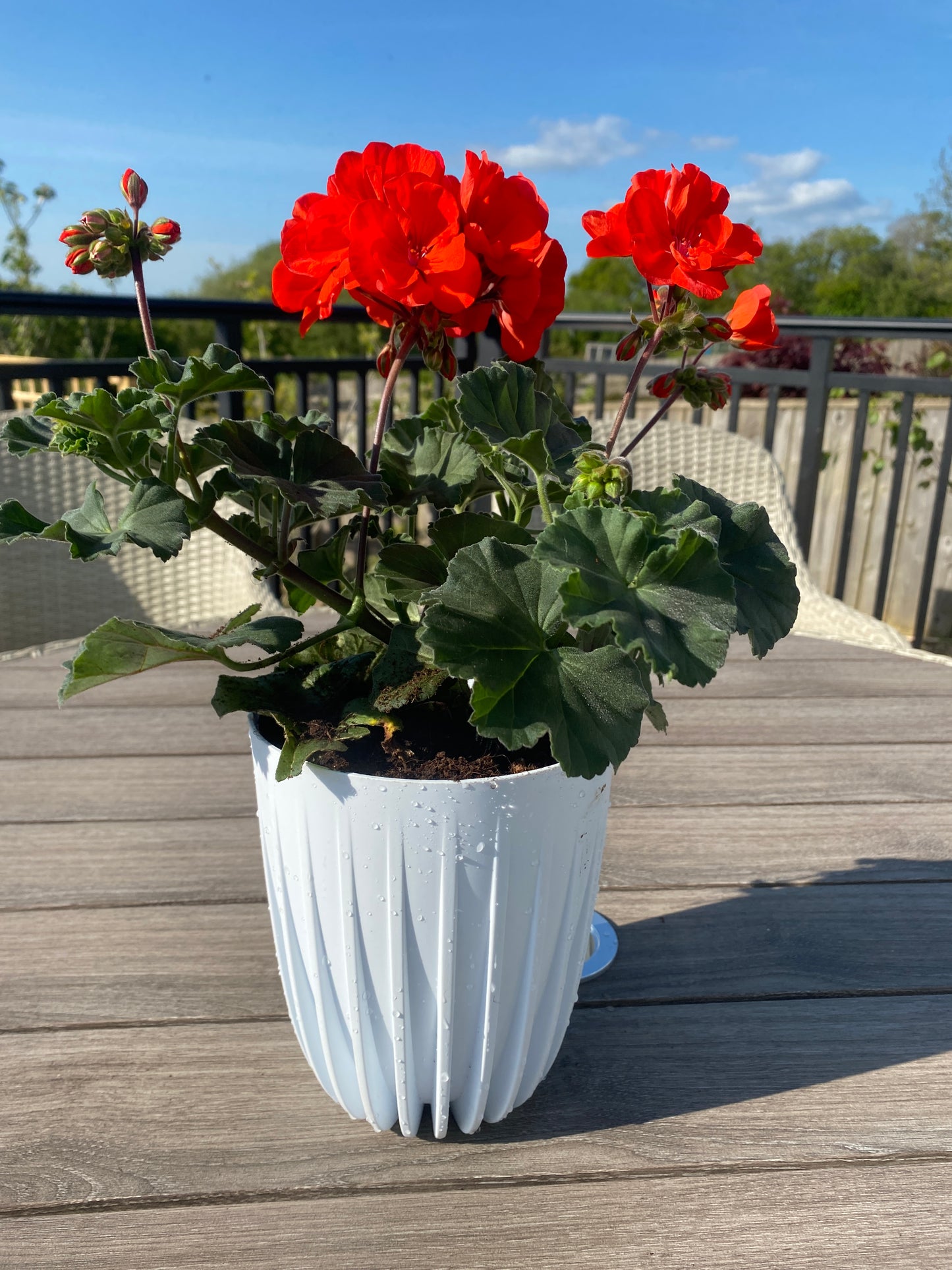 Mira Pot Without Hole 145mm White