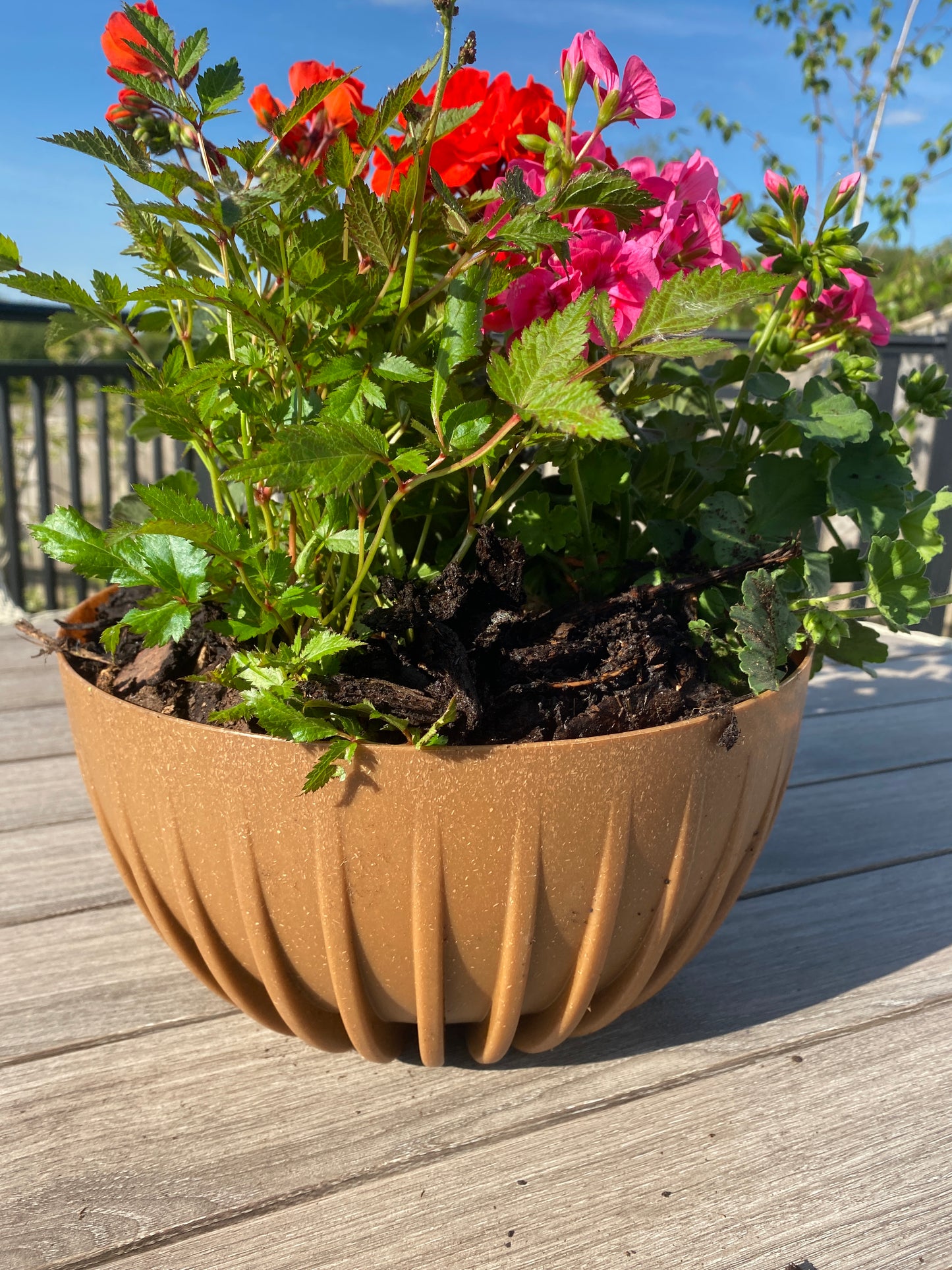 Mira Bowl Pot, Insert and Hole with Plug 300mm Eco Wood