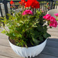 Mira Bowl Pot, Insert and Hole with Plug 300mm White