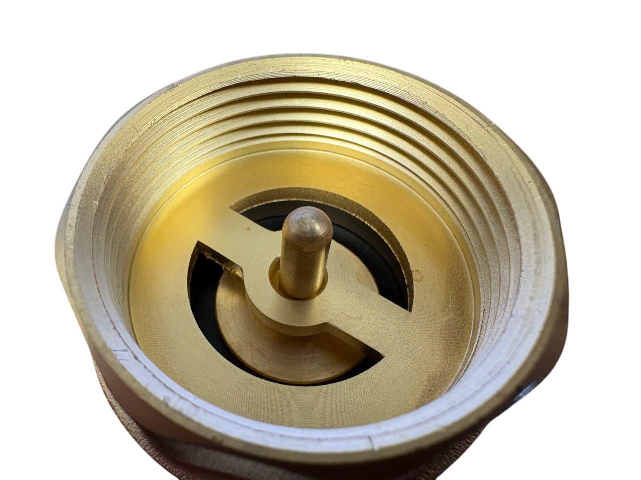 Brass Spring Check Valve with barbed connectors