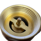 Brass Spring Check Valve 1.25" BSPF