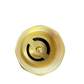 Brass Spring Check Valve 1" BSPF