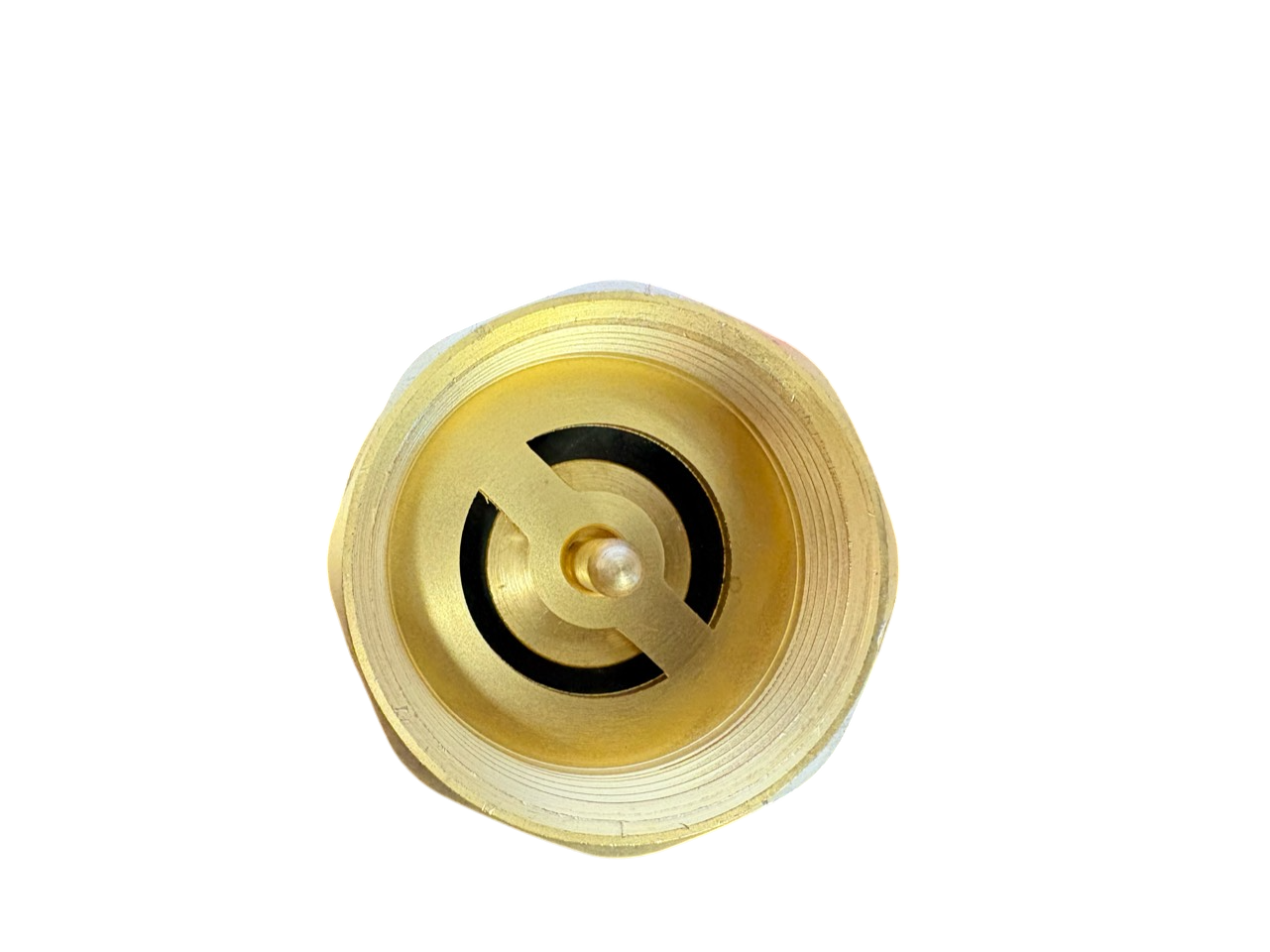 Brass Spring Check Valve 1" BSPF