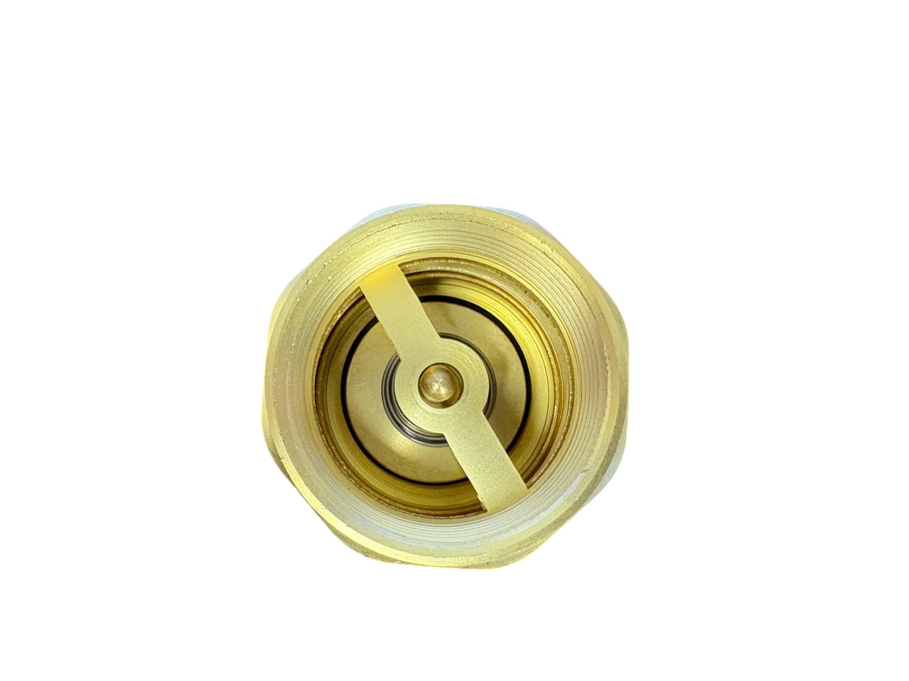 Brass Spring Check Valve 1" BSPF