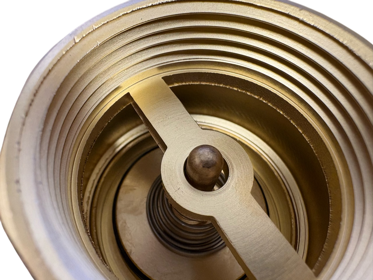 Brass Spring Check Valve 2" BSPF