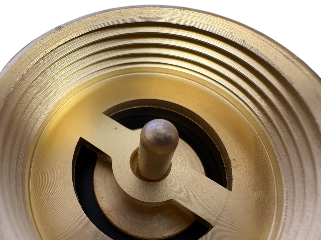 Brass Spring Check Valve with barbed connectors