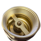 Brass Spring Check Valve with barbed connectors