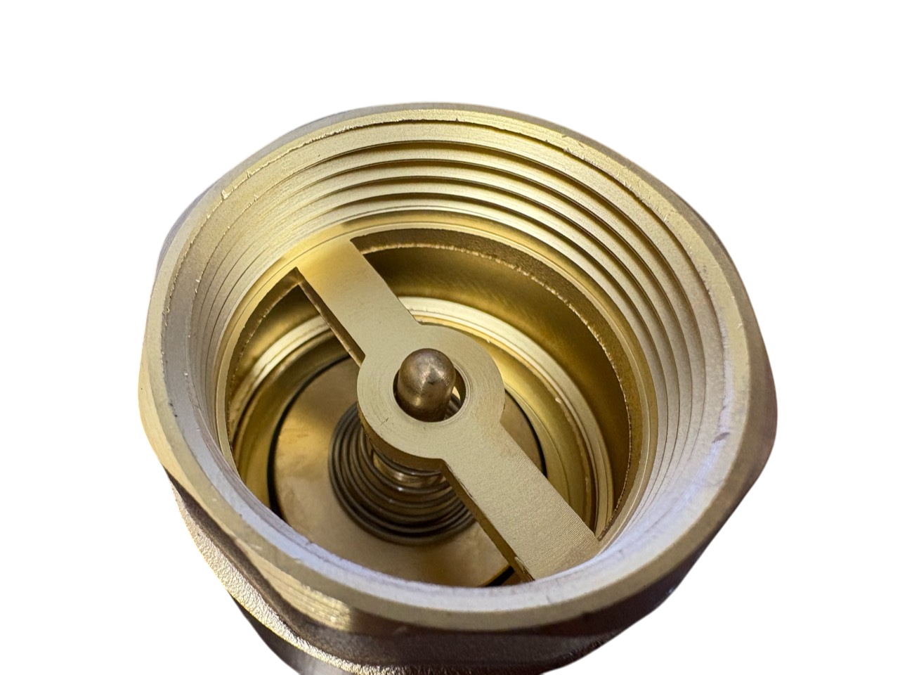 Brass Spring Check Valve 1.5" BSPF