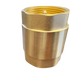 Brass Spring Check Valve 1" BSPF