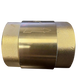 Brass Spring Check Valve 1" BSPF