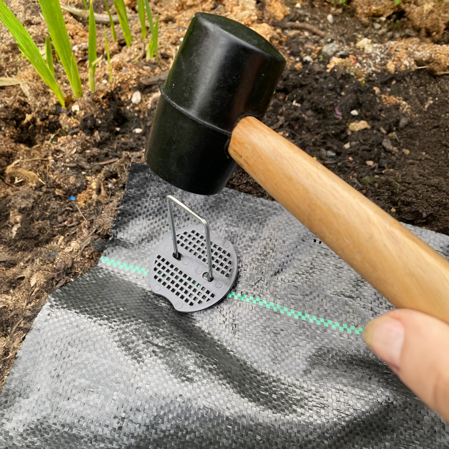 Weed Control Membrane Pegs Buffer Washer Set Blue with Rubber Mallet